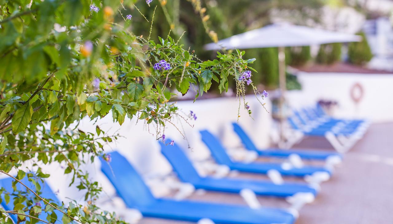 Hotel Calas Marina Benidorm Dış mekan fotoğraf
